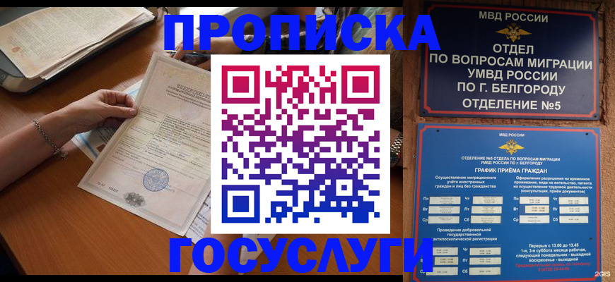 временная регистрация поиск в Южно-Сахалинске